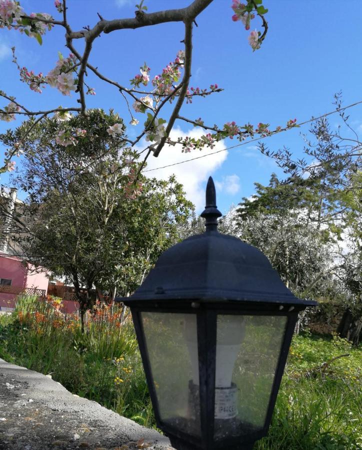Bed and Breakfast Albero Della Musica Sassari Exteriér fotografie